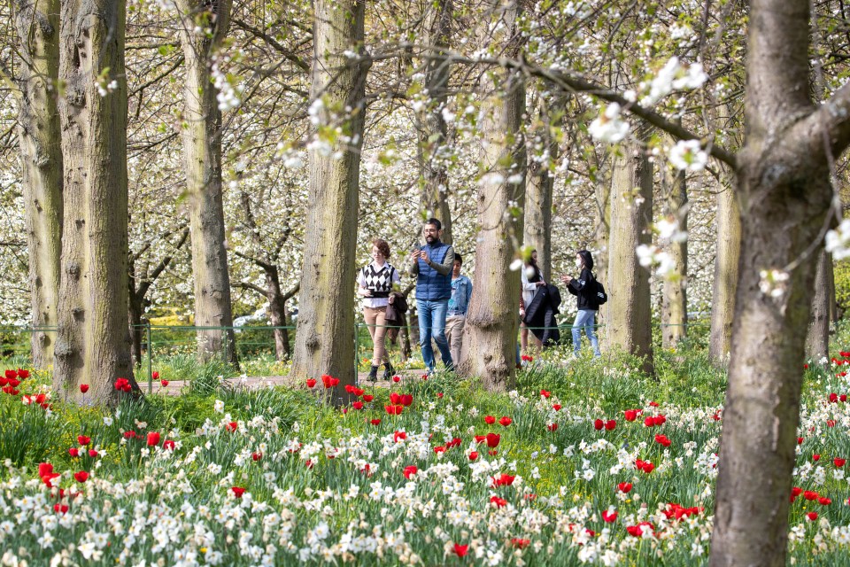 A group enjoying the bank holiday in the sun