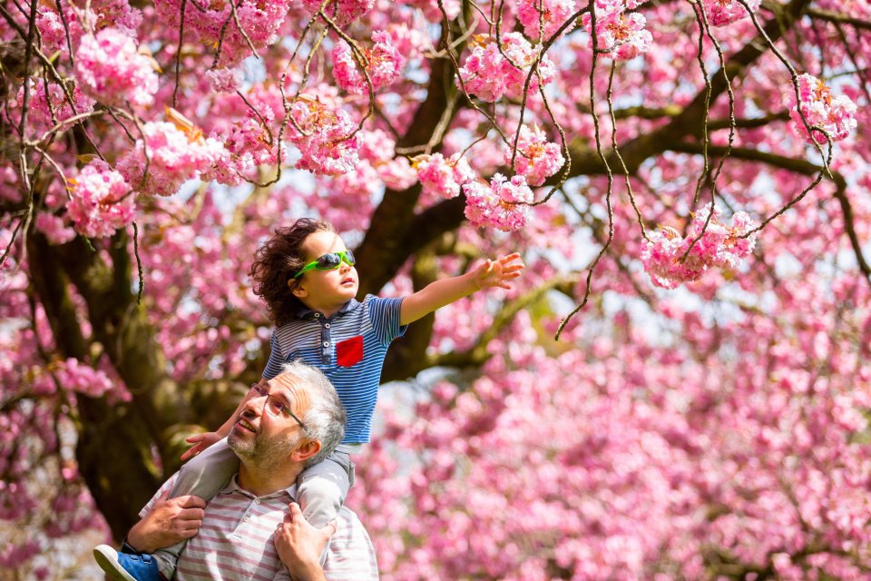 Three-year-old Isaac Stanford sits on dad Simon’s shoulders in Birmingham