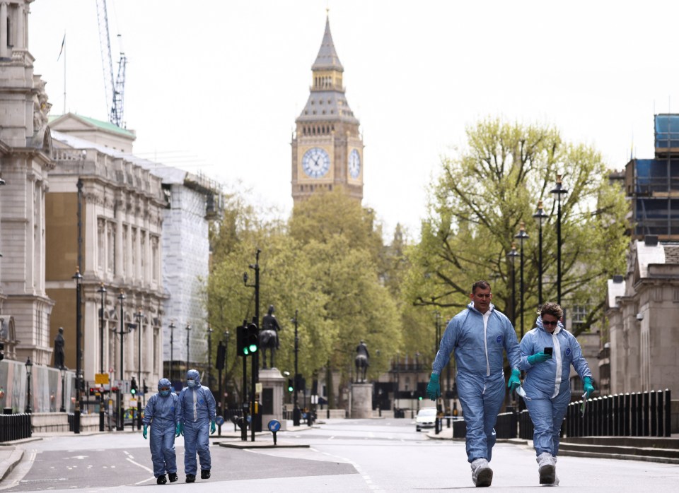 Cops swooped on a knifeman just yards from 10 Downing Street