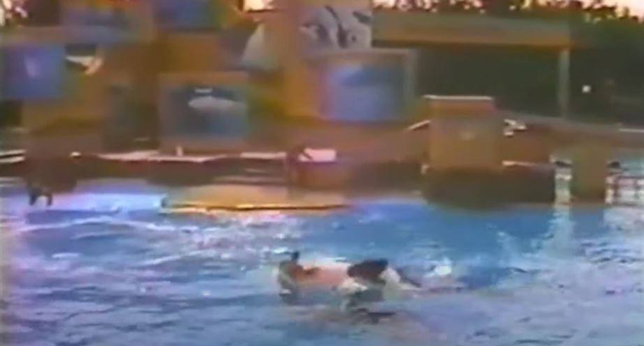 SeaWorld orca Kandu 5 was involved in a terrifying incident with a trainer in March 1987