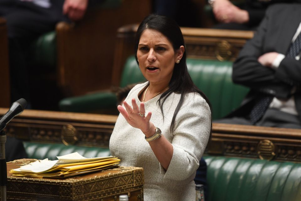 Priti Patel will hire private jets to send illegal migrants to Rwanda because 'woke' airline bosses refuse to run deportation flights