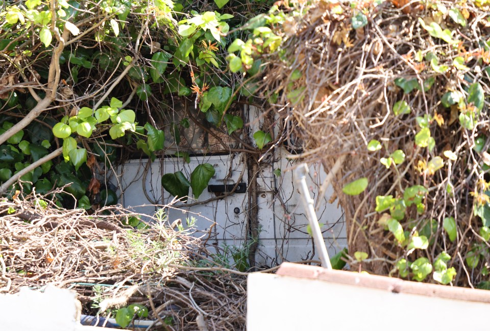 A van, car and boat have almost been completely engulfed by the vines and bushes