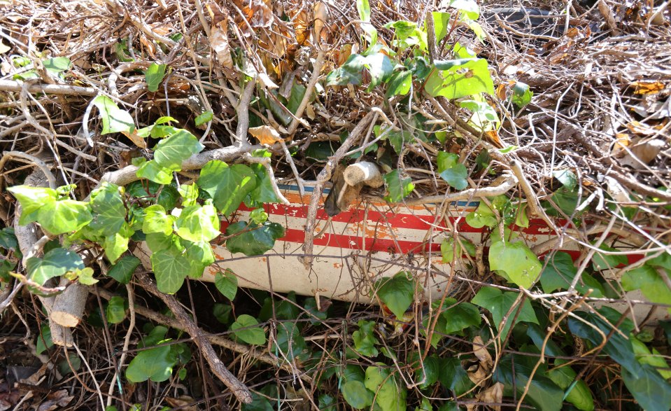 The home even has a boat underneath the wild garden