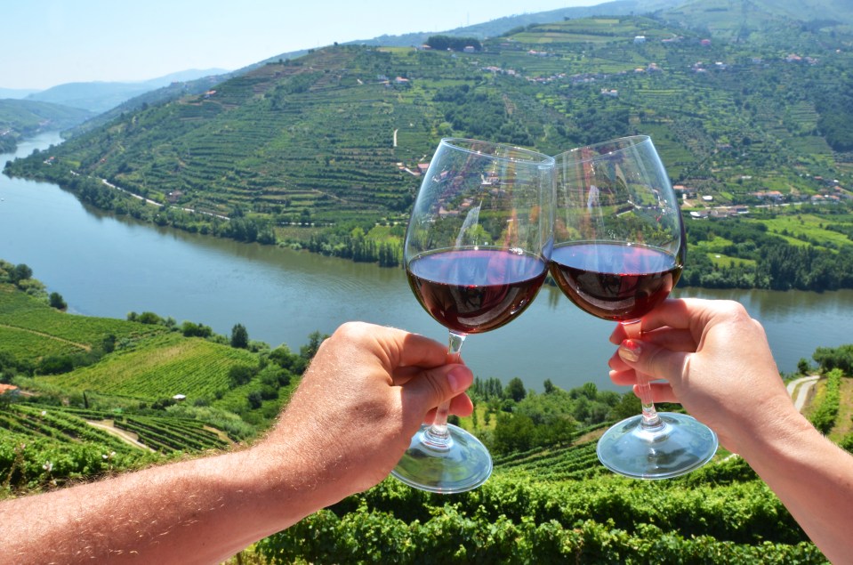 Explore the vineyards of Douro Valley and try the local wine