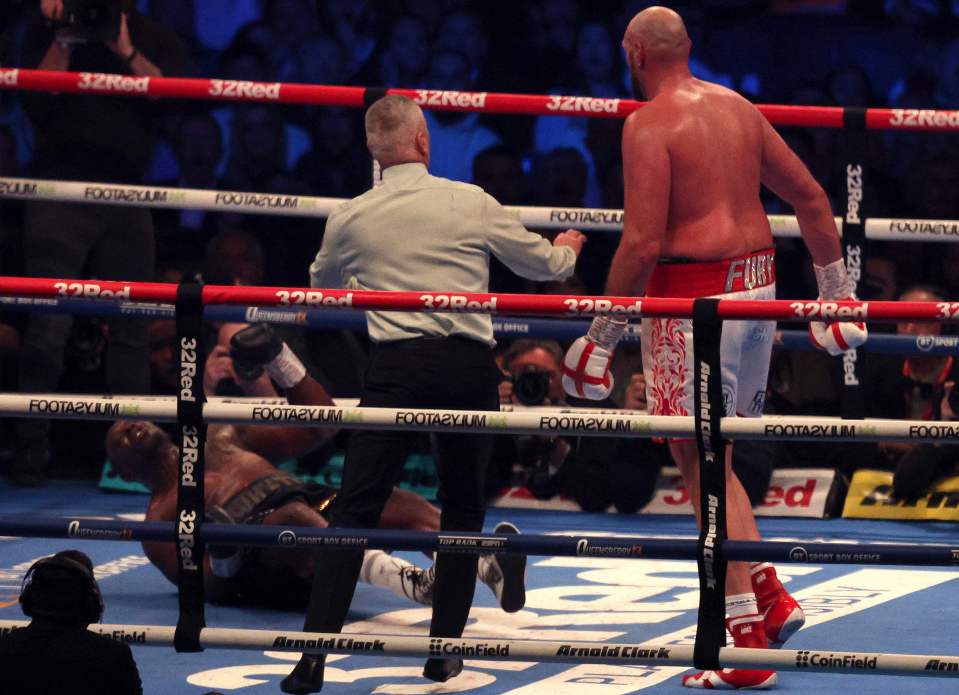 Tyson Fury begged the referee to save Dillian Whyte from further punishment