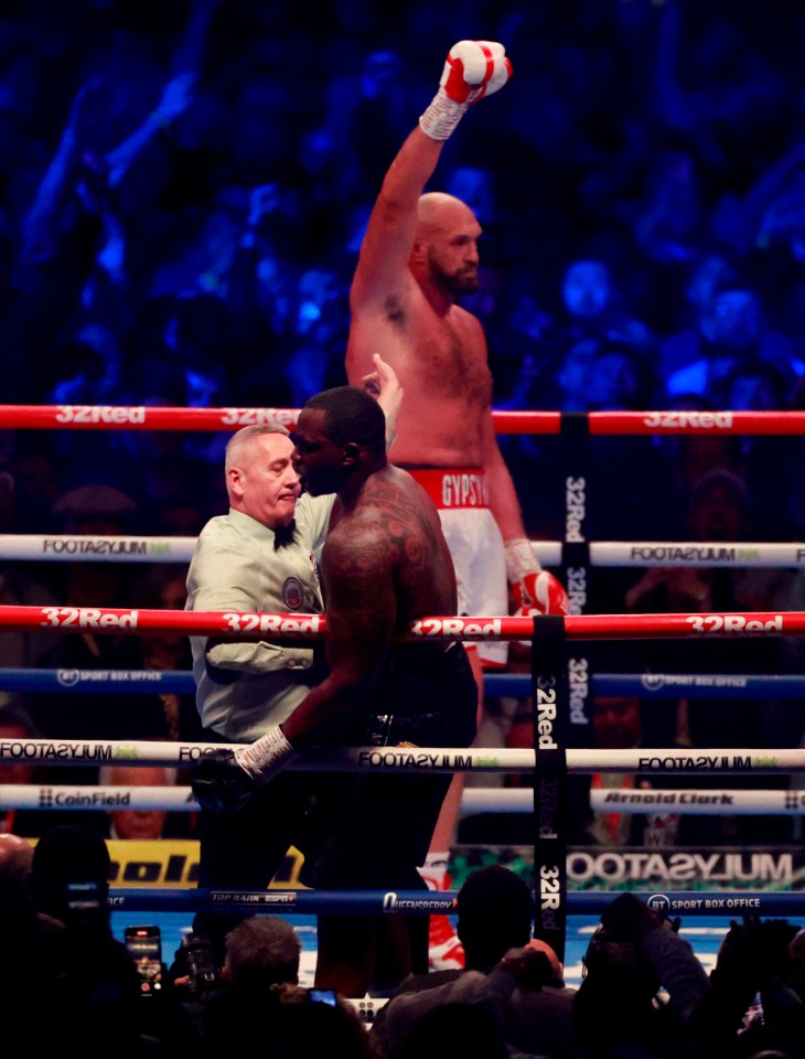 Whyte managed to make his way back to his feet by referee Mark Lyson called a halt to proceedings