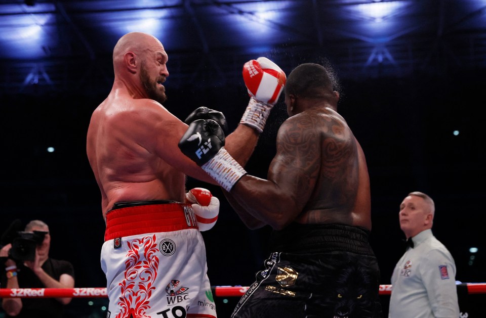 Dillian Whyte was knocked out by Tyson Fury