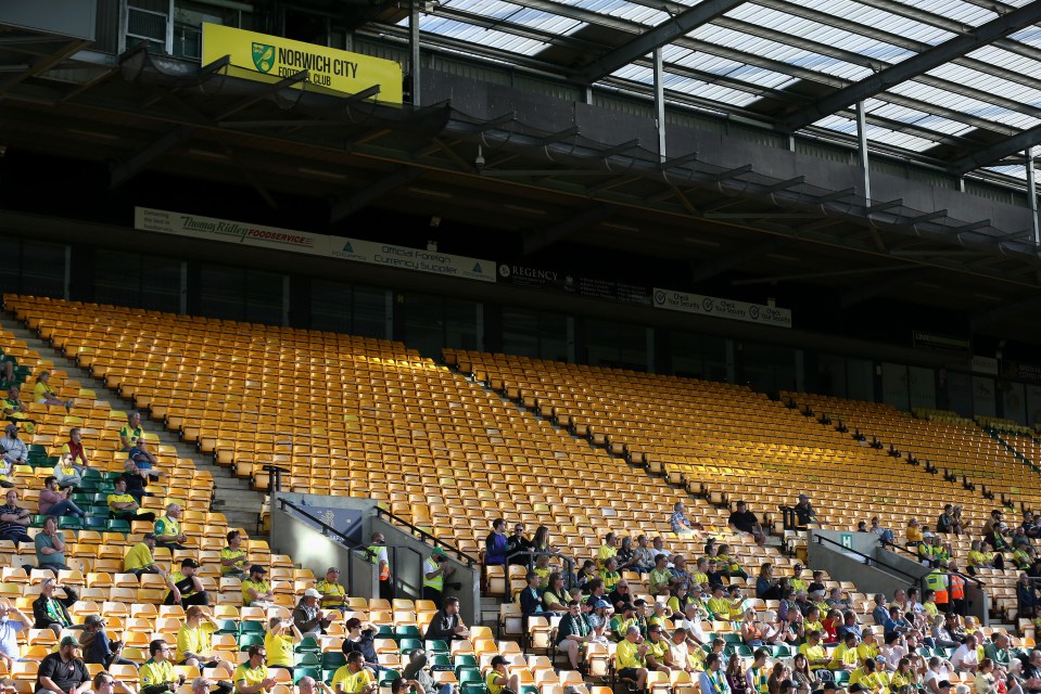 Ministers say they are considering testing the idea of selling pints in sight of the pitch at lower league games — if police approve