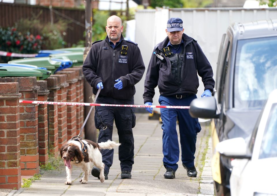 A police sniffer dog looks for clues