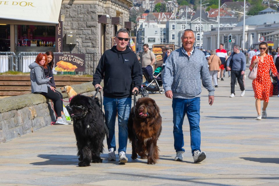 Dog walkers walked their pooches along the seafront in Weston-super-Mare