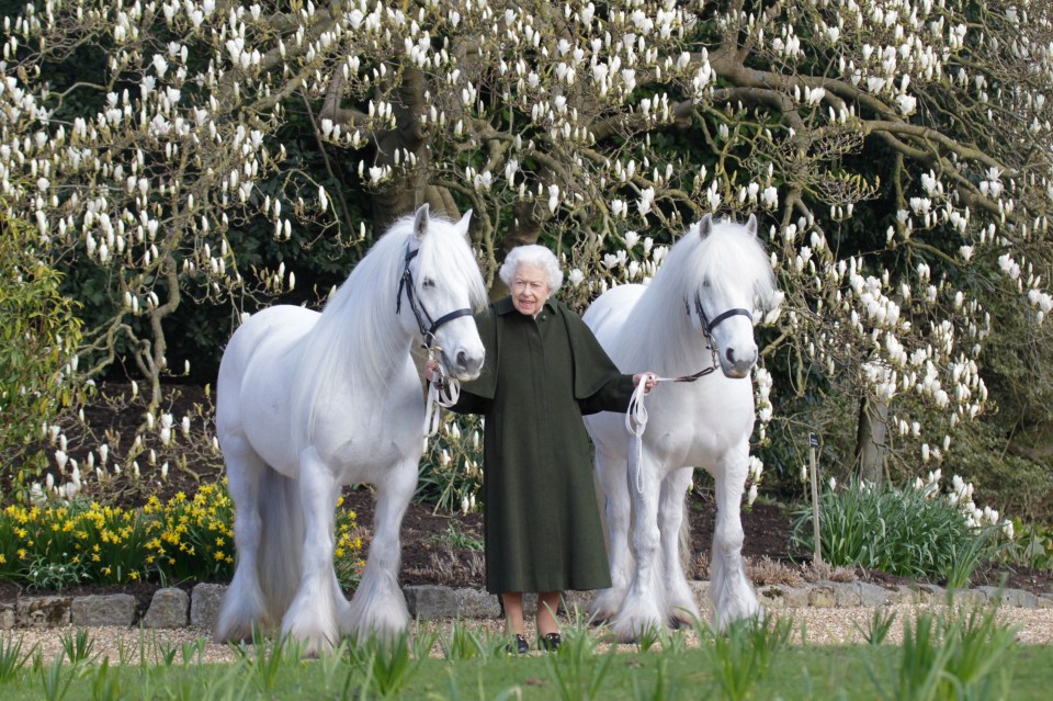 Despite health worries, Her Maj posed with two fell ponies as she celebrates her 96th birthday today