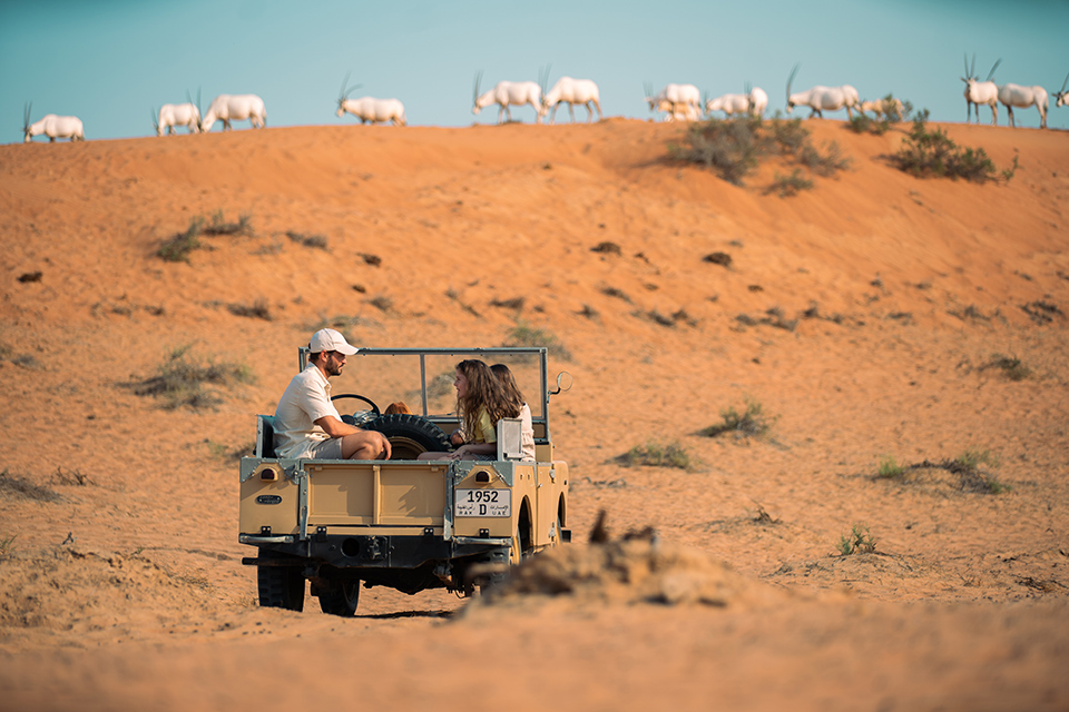 Stay duned… Sonara Al Wadi brings dining and entertainment to a desert reserve