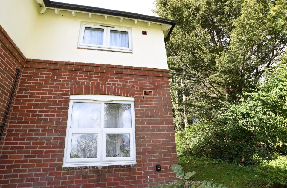 People living in this block of flats claim the fir tree pictured on the right will be hacked down for the build