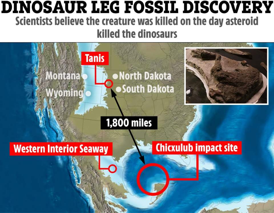 Scientists reckon it could be the first physical evidence from the day which marked the end of the dinosaurs’ reign on Earth 66 million years ago