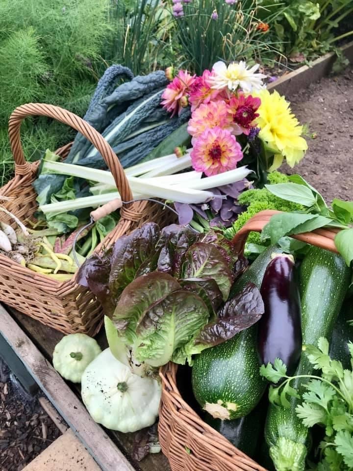 Her and her partner eat at least one item from her allotment every evening for dinner