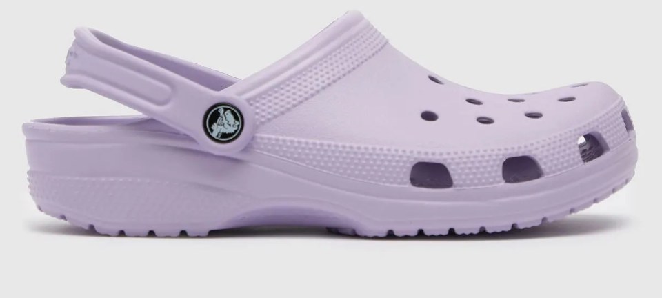 These crocs cost £40