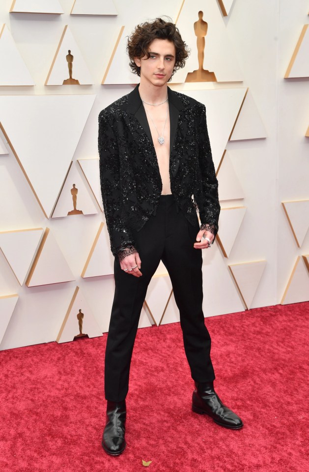 Where have all the men gone? Timothee Chalamet threw caution to the wind and went topless (under his bejewelled tuxedo) to The Oscars