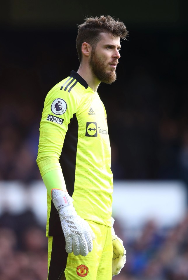 De Gea has struggled to get into the Spain squad