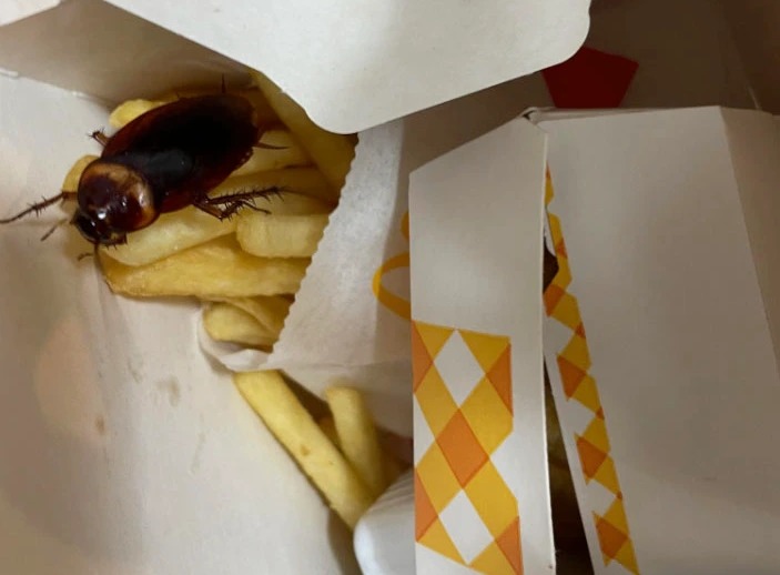 A McDonald's customer claimed he found a cockroach in the Happy Meal he ordered