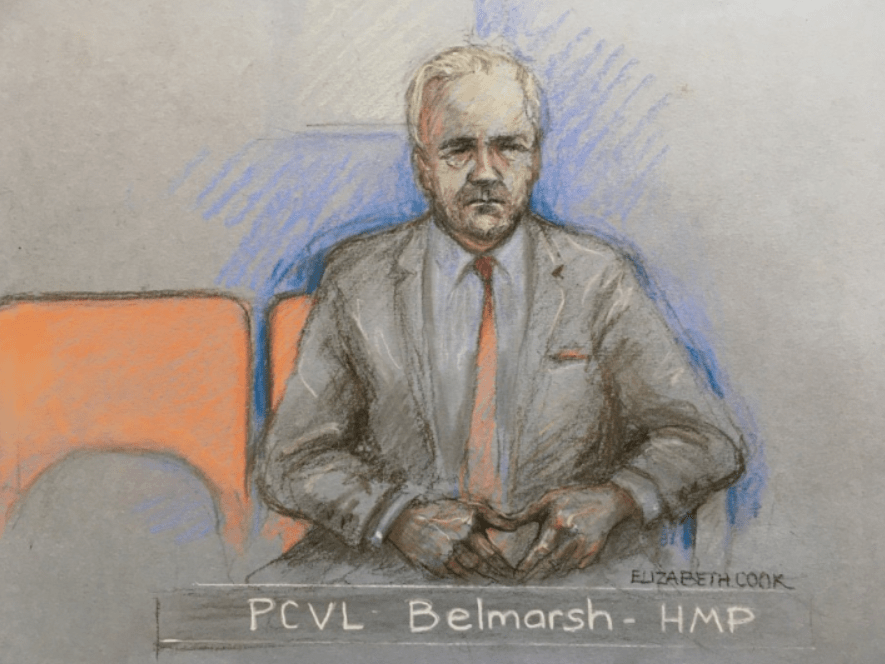 Court artist sketch by Elizabeth Cook of Julian Assange appearing via video link