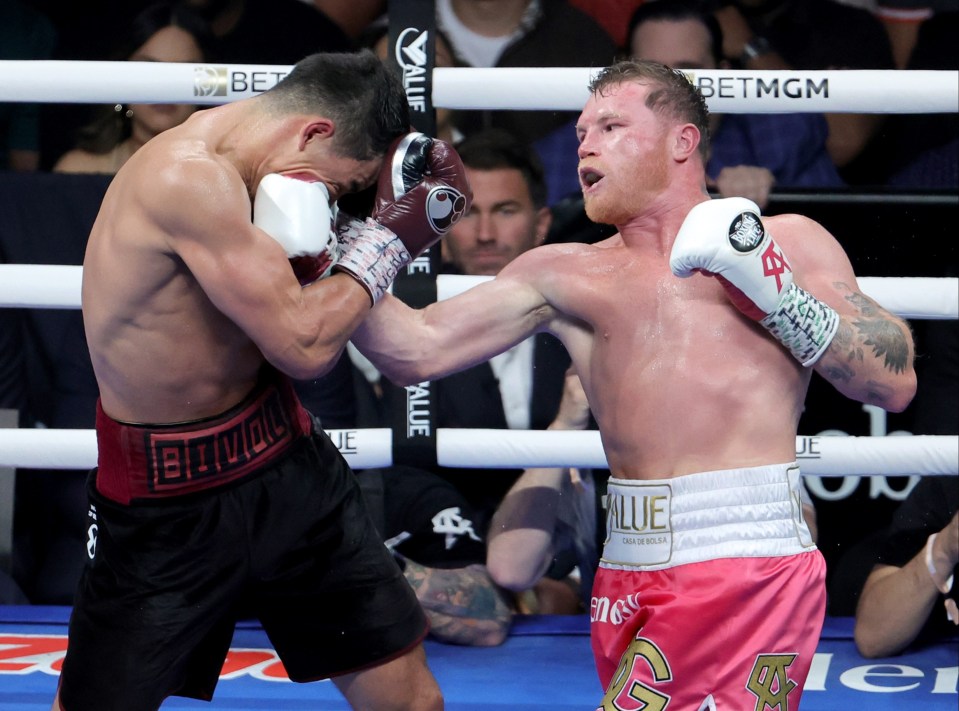 Canelo Alvarez attempted to dethrone WBA light-heavyweight champ Dmitry Bivol last month