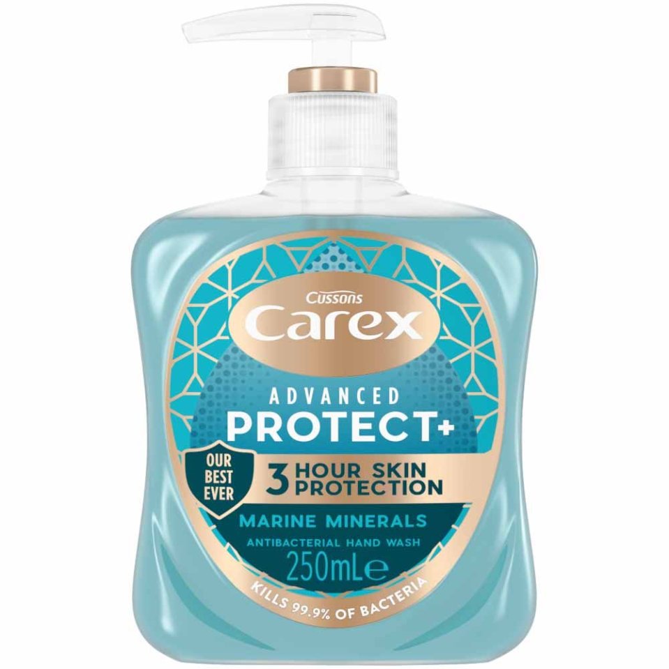 Carex Advanced Protect marine handwash, 250ml is £1.50 at Tesco