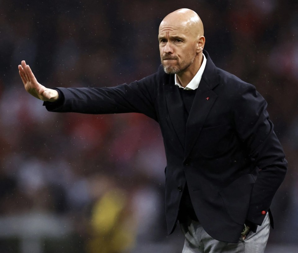 Incoming Old Trafford boss Erik ten Hag will almost certainly NOT have to deal with the enigma of Paul Pogba