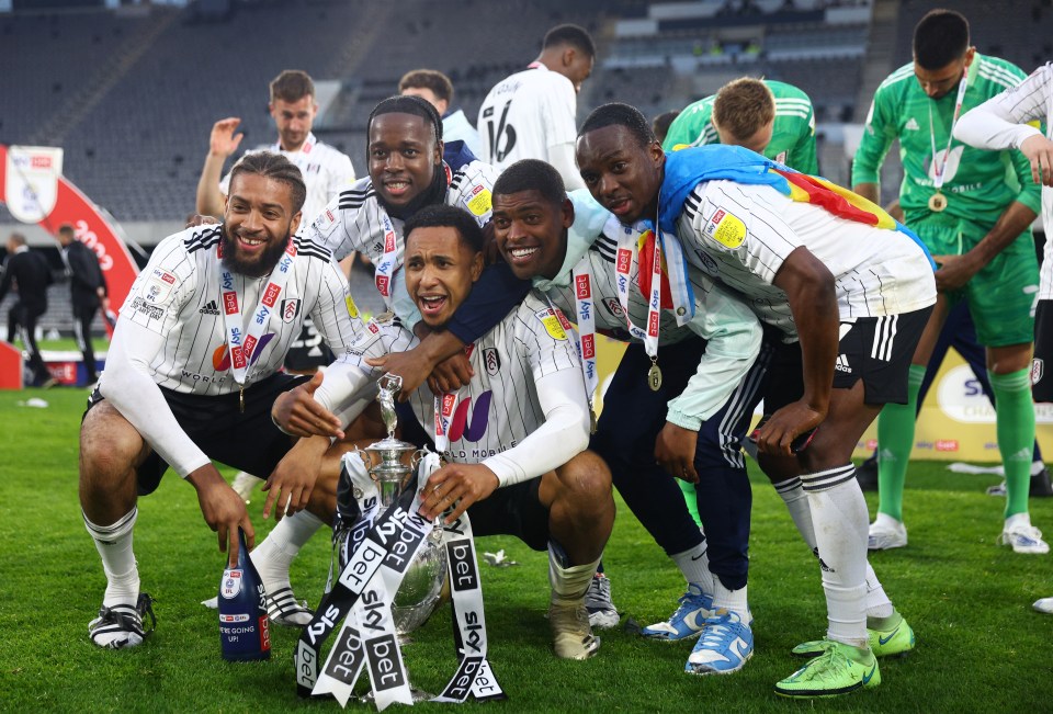 Fulham have been promoted back to the Premier League after winning the Championship title but they will find it tougher than ever to stay up