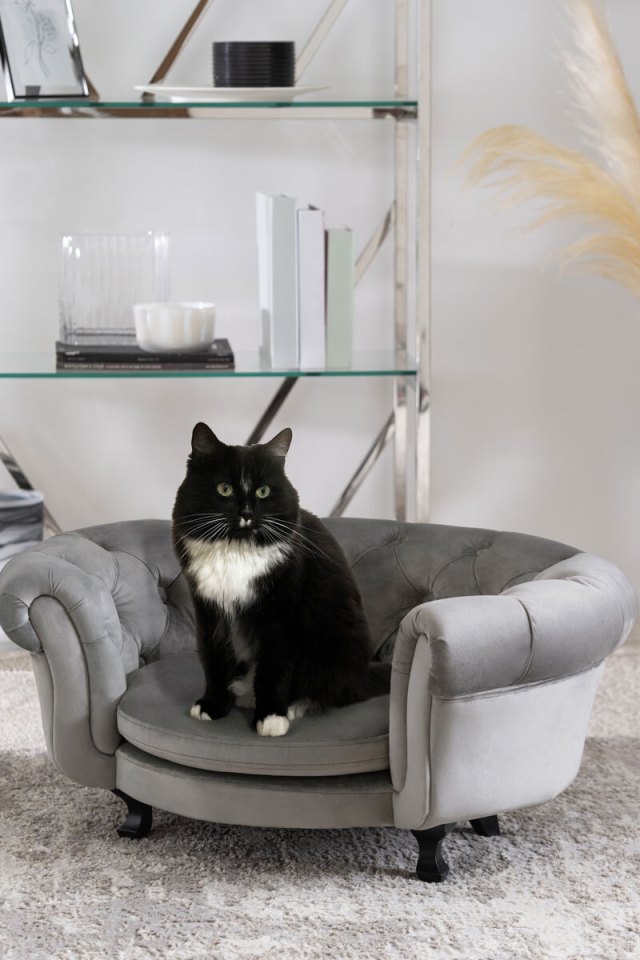 WHAT A FELINE… Marlow Standard Pet Bed, £165