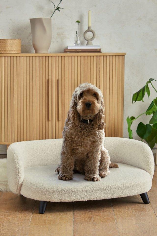 POOCH PERFECT … Mylo Large Pet Bed, £160