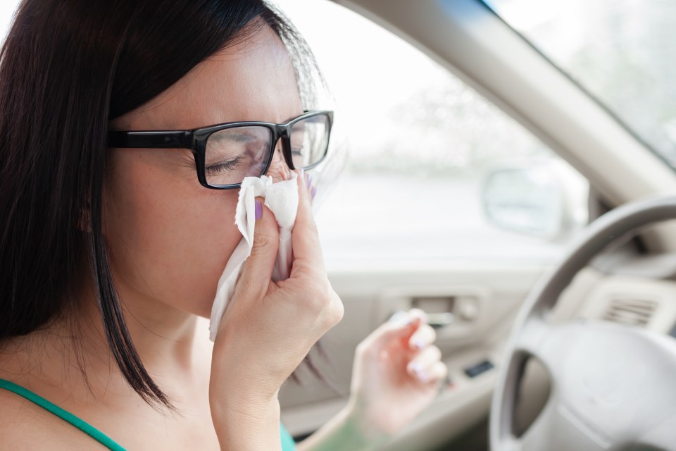 Hay fever pills can leave you feeling drowsy and tired which affects your driving abilities