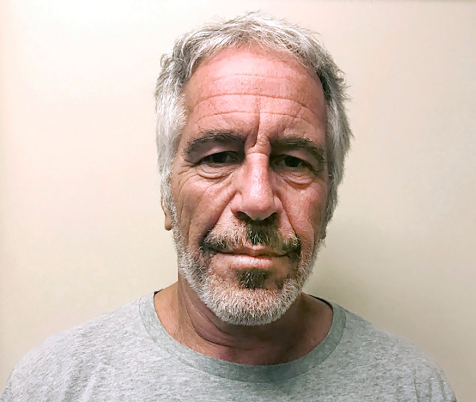 Epstein said he would attend meetings as Andrew's financial adviser