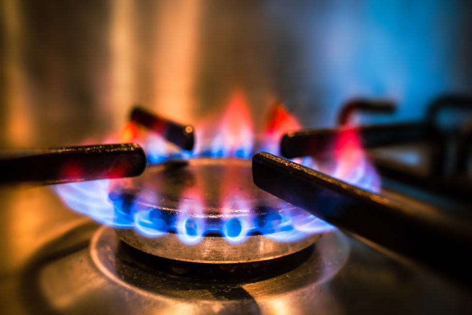 Eligible applicants can apply for British Gas' fund on July 1