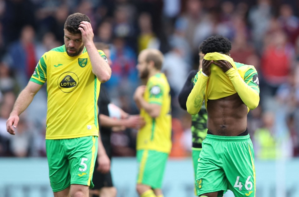 Norwich have been relegated back to the Championship after winning just five Premier League games