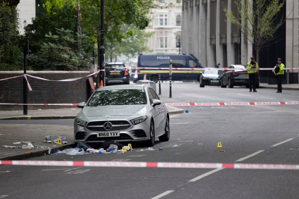 A man was stabbed to death in central London last night