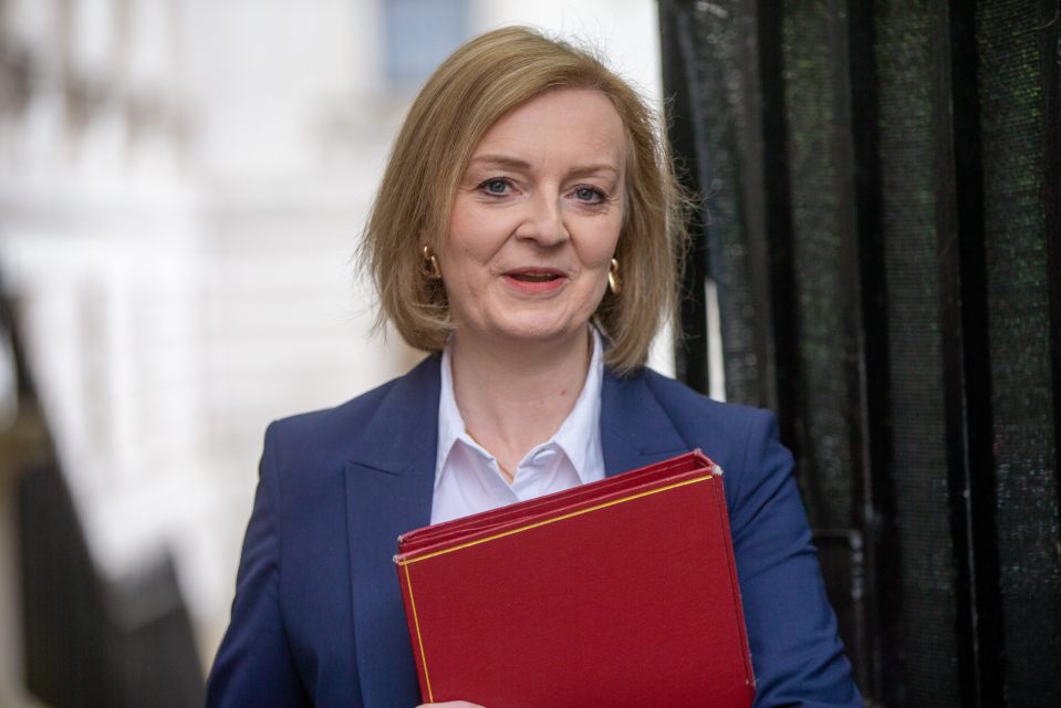 The PM and Foreign Secretary Liz Truss are preparing to unveil changes to the protocol to ensure Northern Ireland’s place in the UK is fully protected