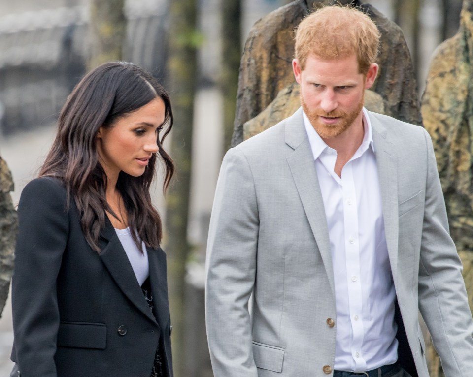 Meghan and Harry are believed to have been saddened their kids cartoon was ditched