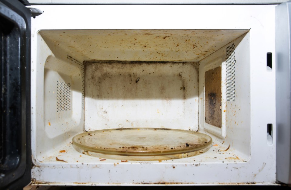 Cleaning fans suggested a cheap solution to cleaning grubby microwaves