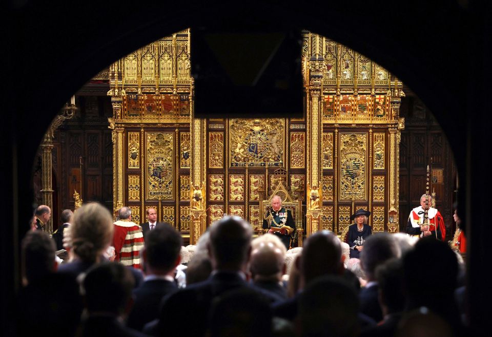 Prince Charles delivered the Queen's Speech outlining government's plans for new laws