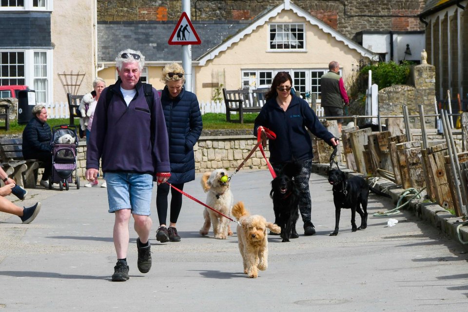 Dog owners get outside to enjoy some sunshine