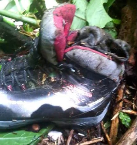 A foot was found still inside a boot two months after the girls vanished