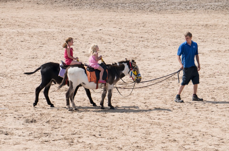 Take a ride on a donley on Southport's beach, one of the largest in England