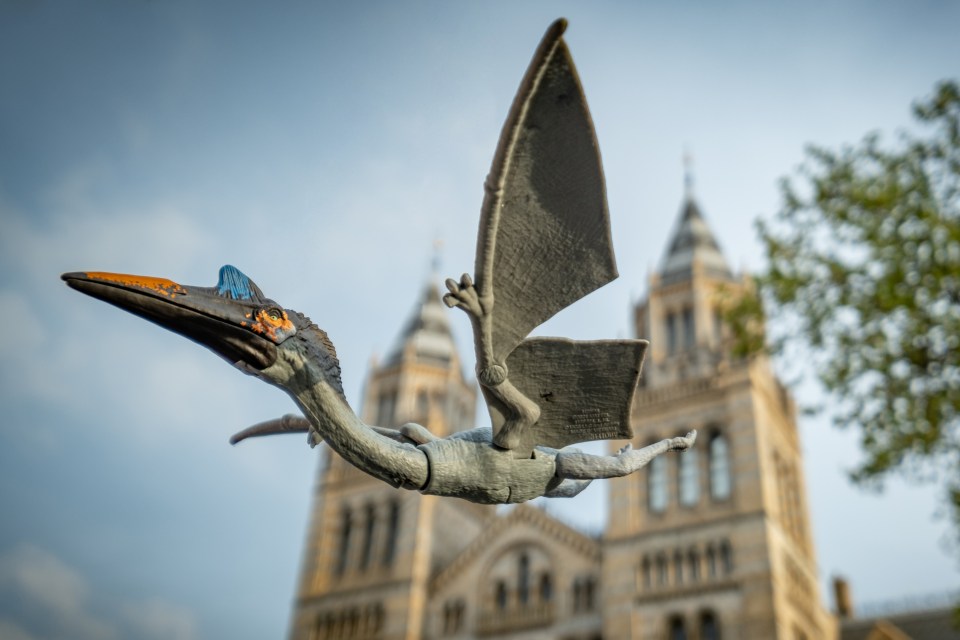 Winged beast Quetzalcoatlus soars