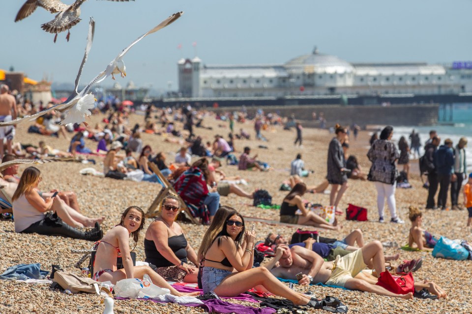 Brighton beach is packed as visitors enjoy the day