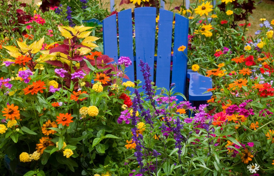 Flowers and a lick of paint can add an instant pop of colour