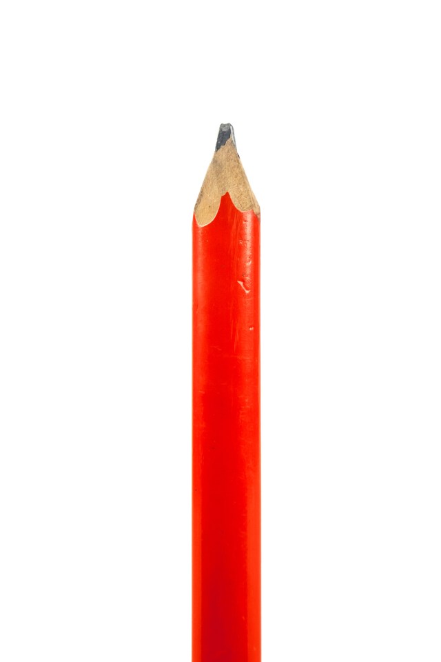 The pencil-shaped penis is often extremely long and thinner than the average