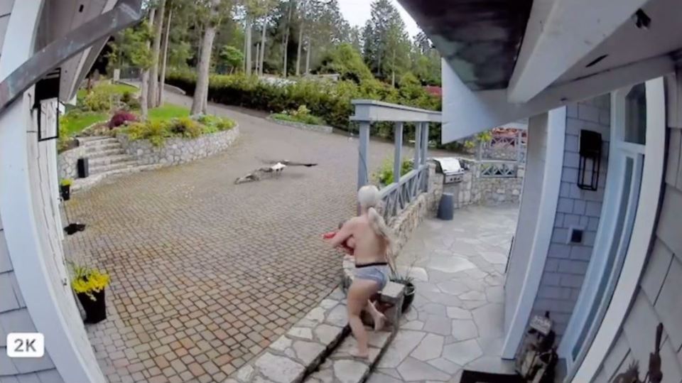 The incredible moment Cait Oakley rescued her goose was captured on CCTV