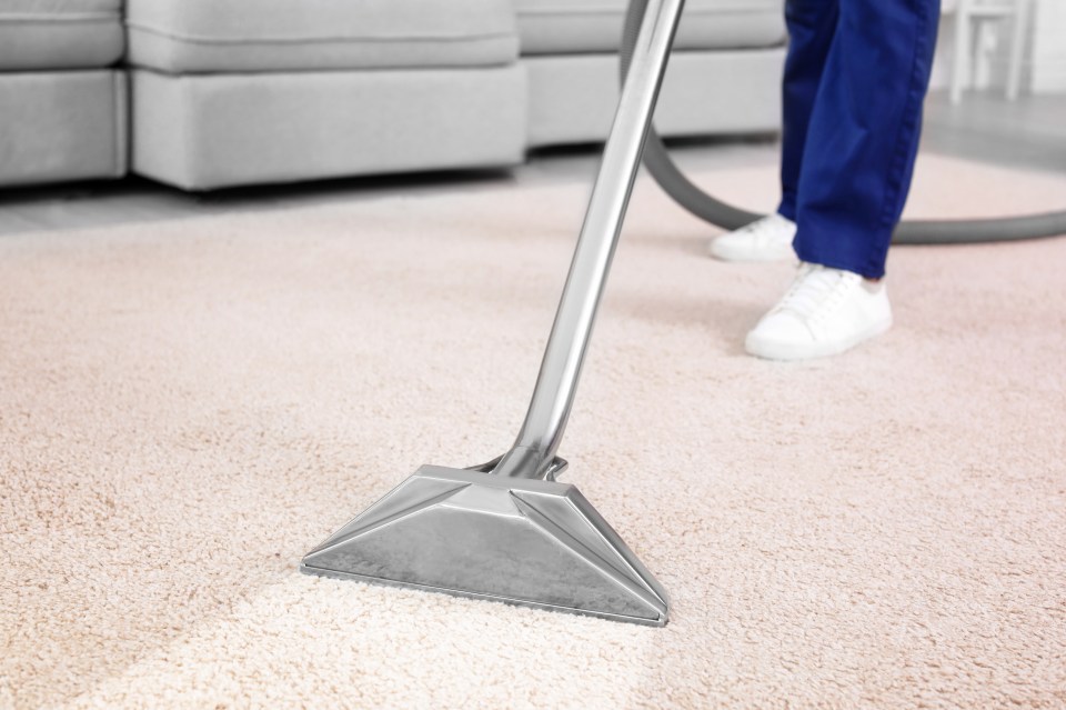 You don't need a professional carpet cleaning to blitz your floors