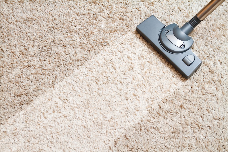 Keeping your carpet clean isn't always easy