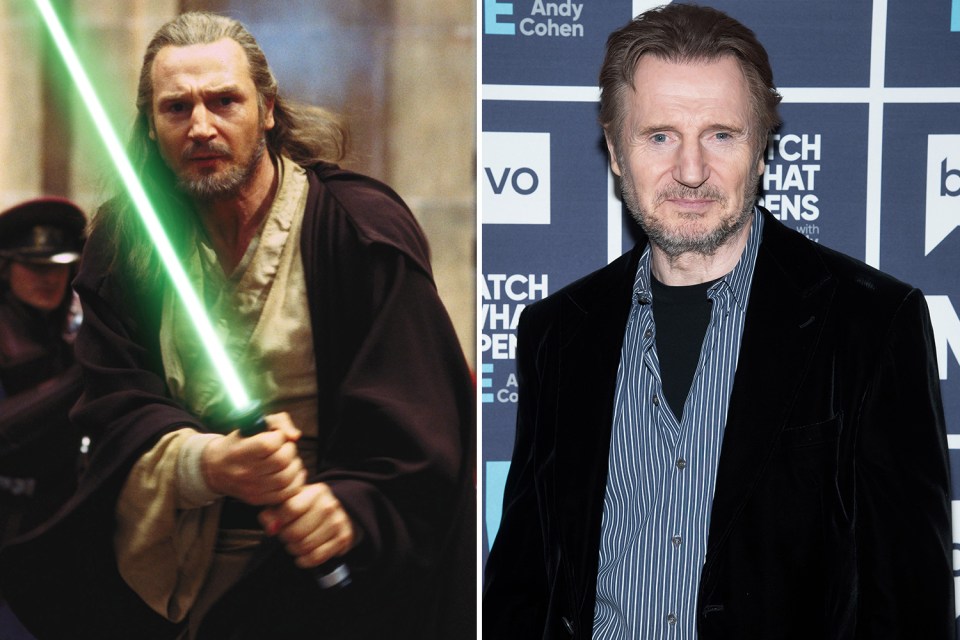 Liam Neeson tragically lost his wife in 2009, when she sustained a severe head injury in a skiing accident.